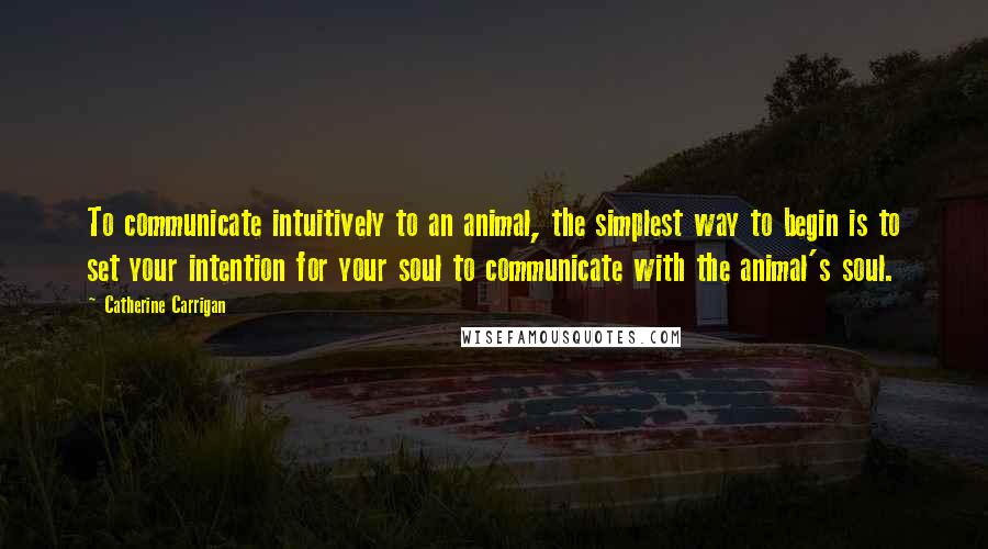 Catherine Carrigan Quotes: To communicate intuitively to an animal, the simplest way to begin is to set your intention for your soul to communicate with the animal's soul.