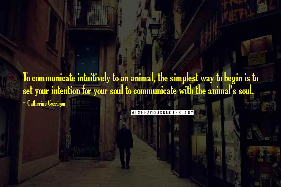 Catherine Carrigan Quotes: To communicate intuitively to an animal, the simplest way to begin is to set your intention for your soul to communicate with the animal's soul.