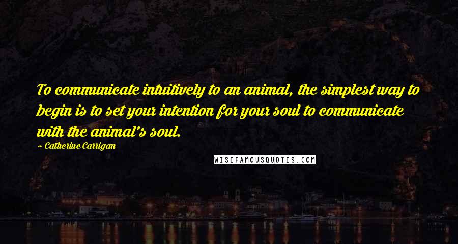 Catherine Carrigan Quotes: To communicate intuitively to an animal, the simplest way to begin is to set your intention for your soul to communicate with the animal's soul.