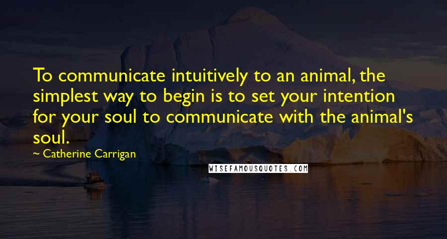 Catherine Carrigan Quotes: To communicate intuitively to an animal, the simplest way to begin is to set your intention for your soul to communicate with the animal's soul.