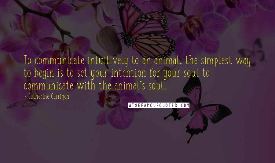 Catherine Carrigan Quotes: To communicate intuitively to an animal, the simplest way to begin is to set your intention for your soul to communicate with the animal's soul.