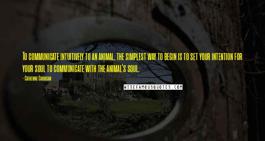 Catherine Carrigan Quotes: To communicate intuitively to an animal, the simplest way to begin is to set your intention for your soul to communicate with the animal's soul.