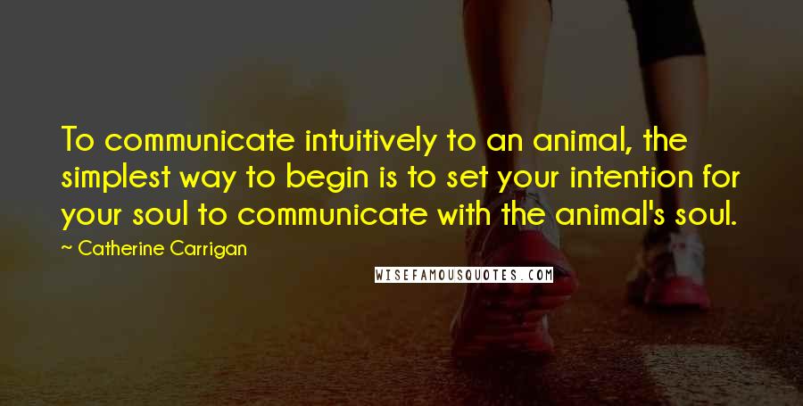 Catherine Carrigan Quotes: To communicate intuitively to an animal, the simplest way to begin is to set your intention for your soul to communicate with the animal's soul.