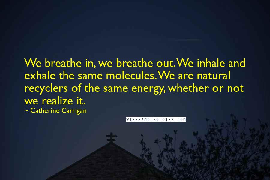 Catherine Carrigan Quotes: We breathe in, we breathe out. We inhale and exhale the same molecules. We are natural recyclers of the same energy, whether or not we realize it.