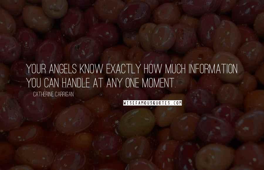 Catherine Carrigan Quotes: Your angels know exactly how much information you can handle at any one moment.