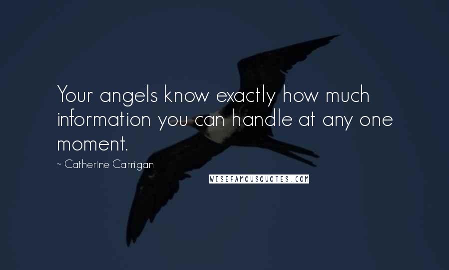 Catherine Carrigan Quotes: Your angels know exactly how much information you can handle at any one moment.