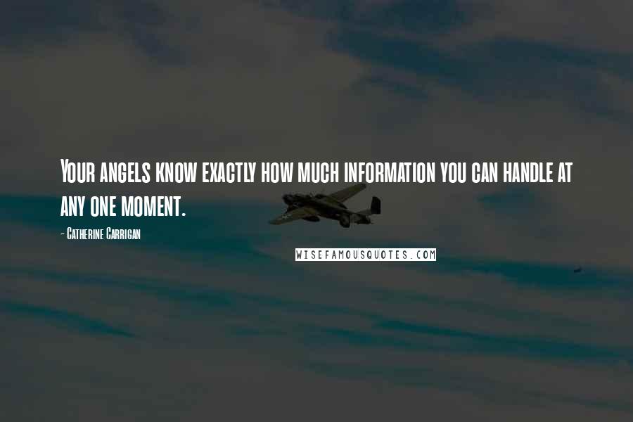 Catherine Carrigan Quotes: Your angels know exactly how much information you can handle at any one moment.