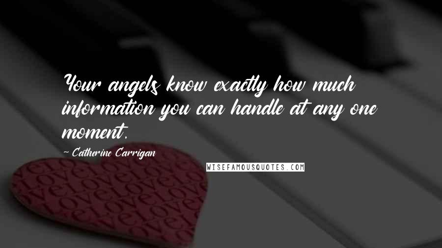 Catherine Carrigan Quotes: Your angels know exactly how much information you can handle at any one moment.