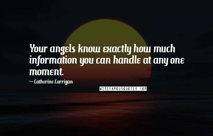 Catherine Carrigan Quotes: Your angels know exactly how much information you can handle at any one moment.