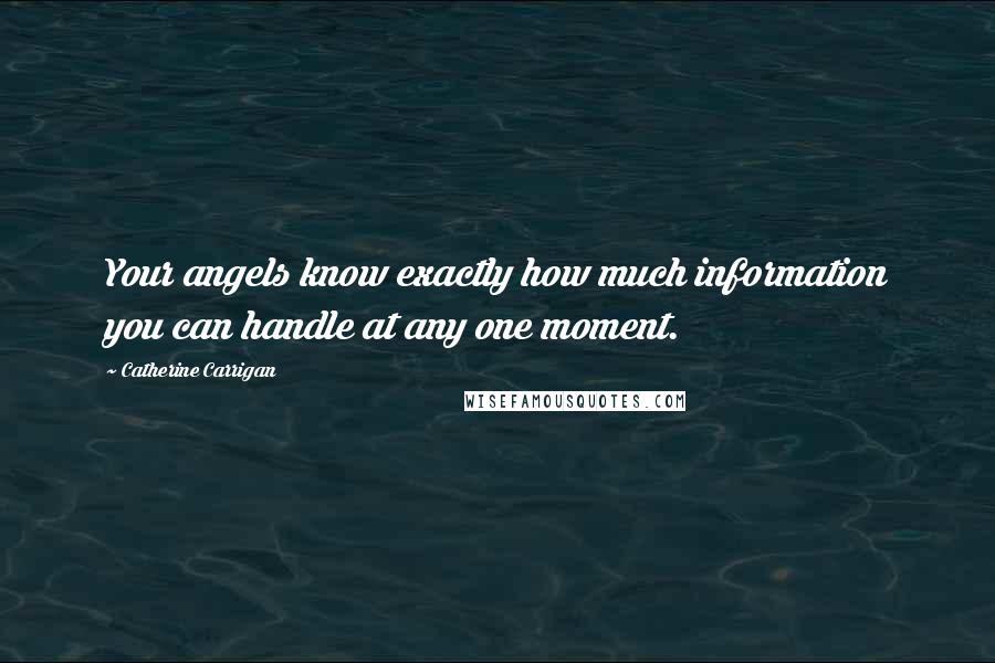 Catherine Carrigan Quotes: Your angels know exactly how much information you can handle at any one moment.