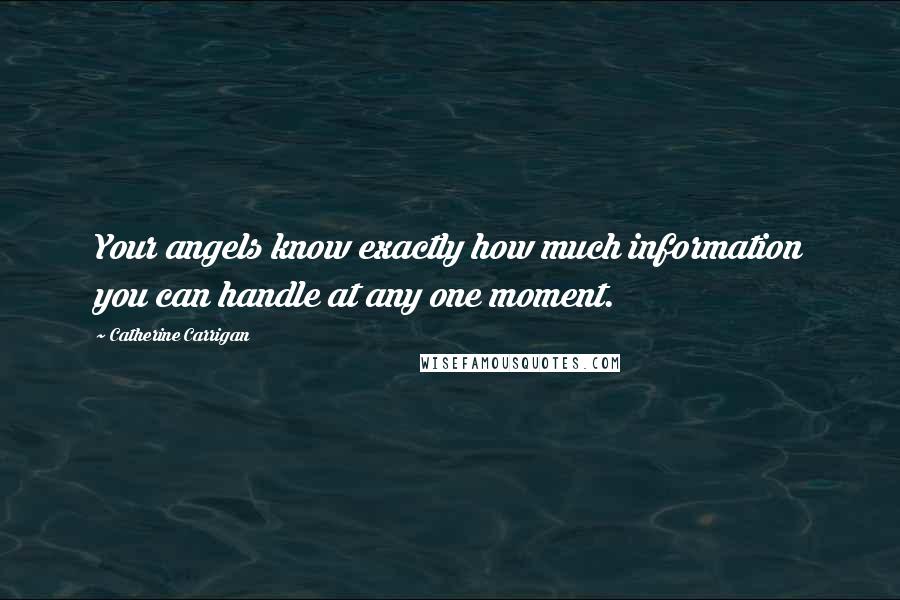 Catherine Carrigan Quotes: Your angels know exactly how much information you can handle at any one moment.