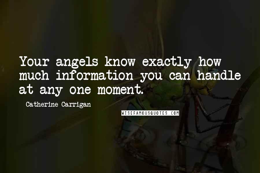 Catherine Carrigan Quotes: Your angels know exactly how much information you can handle at any one moment.