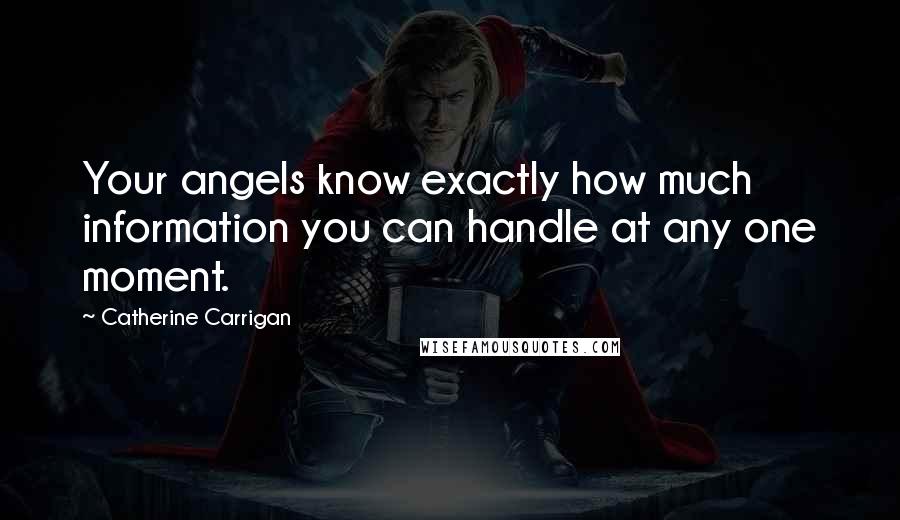 Catherine Carrigan Quotes: Your angels know exactly how much information you can handle at any one moment.