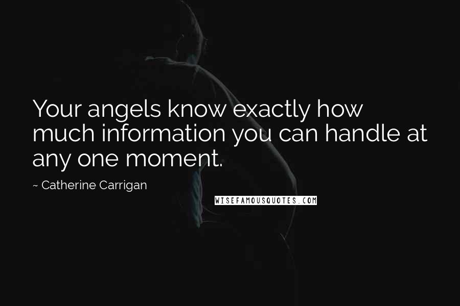 Catherine Carrigan Quotes: Your angels know exactly how much information you can handle at any one moment.