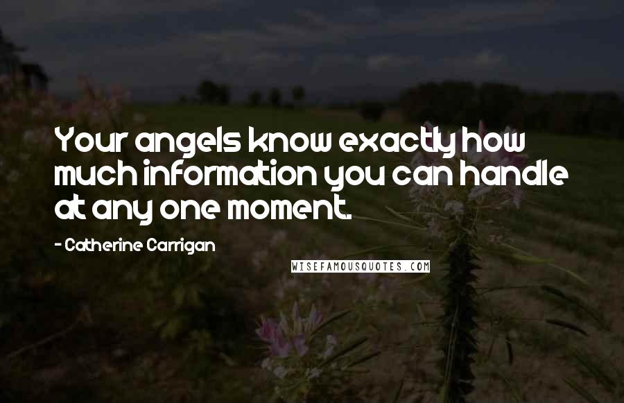 Catherine Carrigan Quotes: Your angels know exactly how much information you can handle at any one moment.