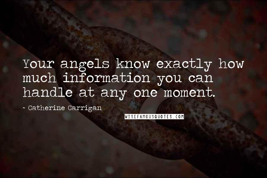 Catherine Carrigan Quotes: Your angels know exactly how much information you can handle at any one moment.