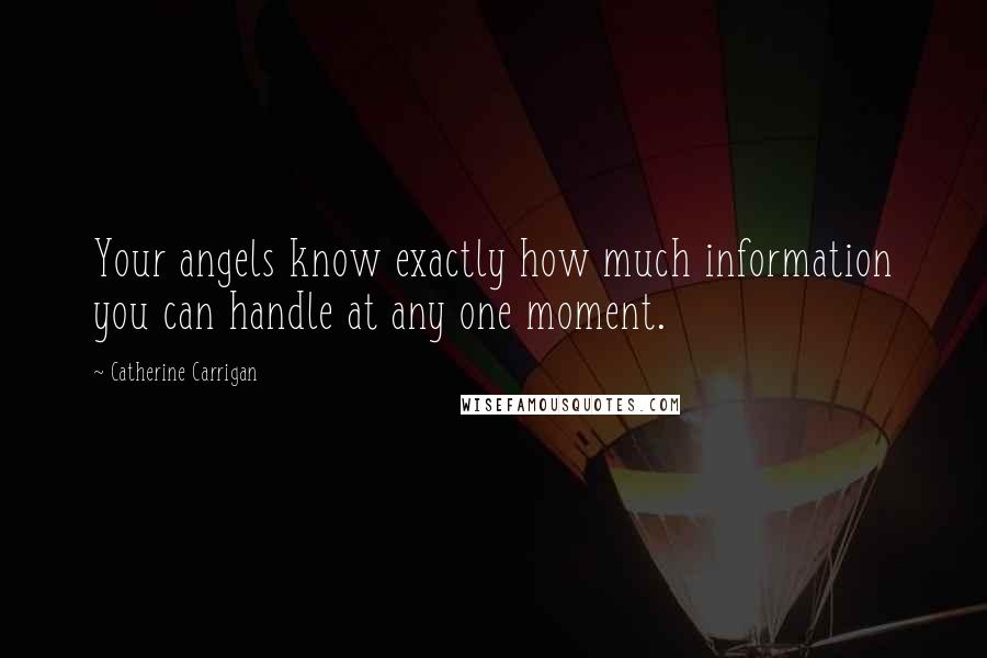 Catherine Carrigan Quotes: Your angels know exactly how much information you can handle at any one moment.