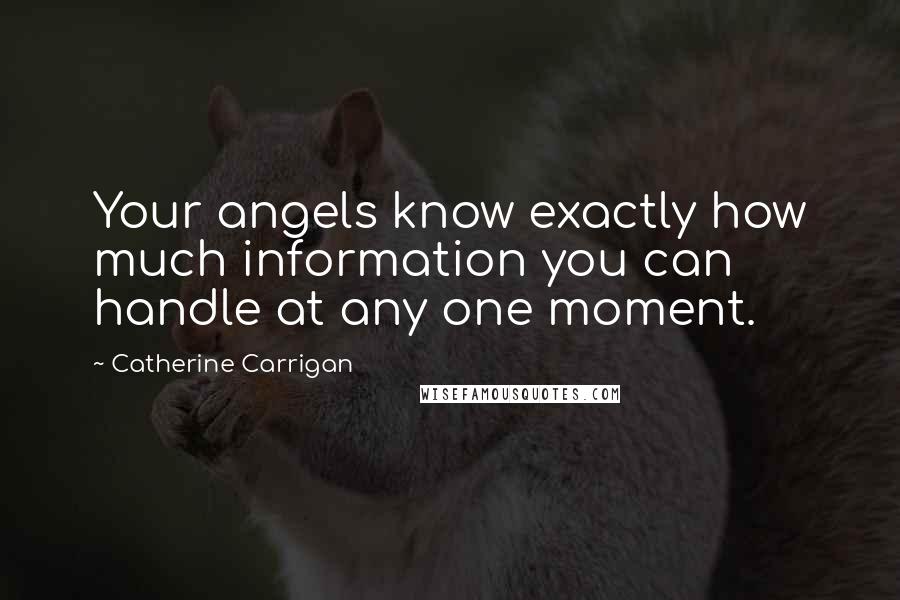 Catherine Carrigan Quotes: Your angels know exactly how much information you can handle at any one moment.