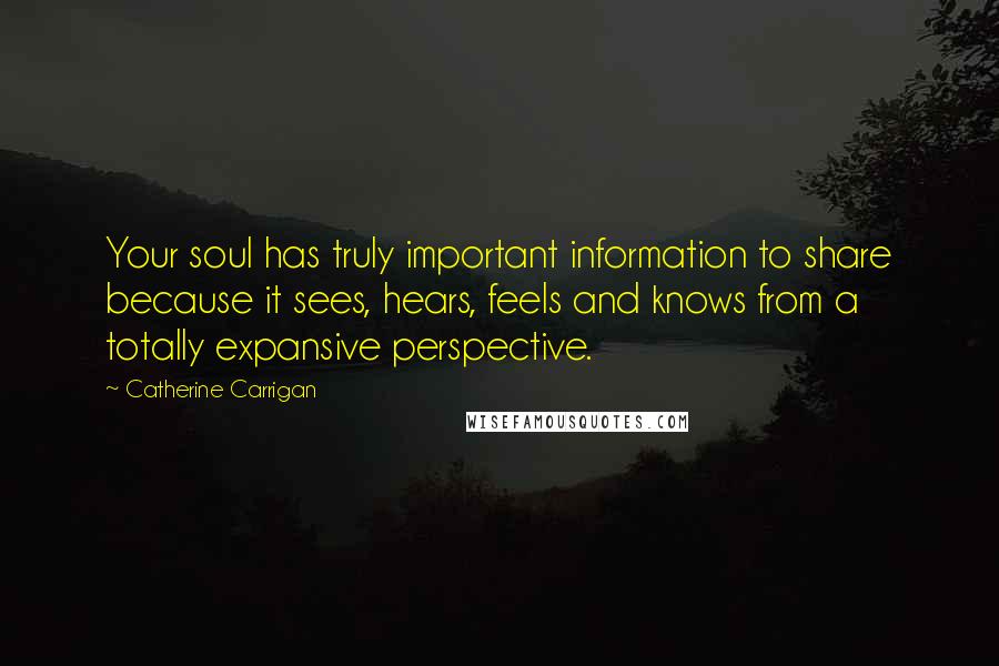 Catherine Carrigan Quotes: Your soul has truly important information to share because it sees, hears, feels and knows from a totally expansive perspective.