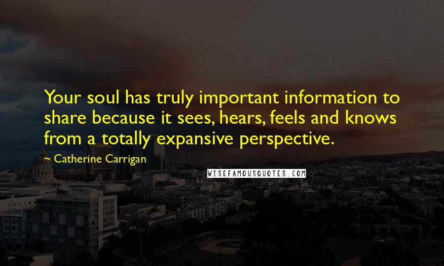 Catherine Carrigan Quotes: Your soul has truly important information to share because it sees, hears, feels and knows from a totally expansive perspective.
