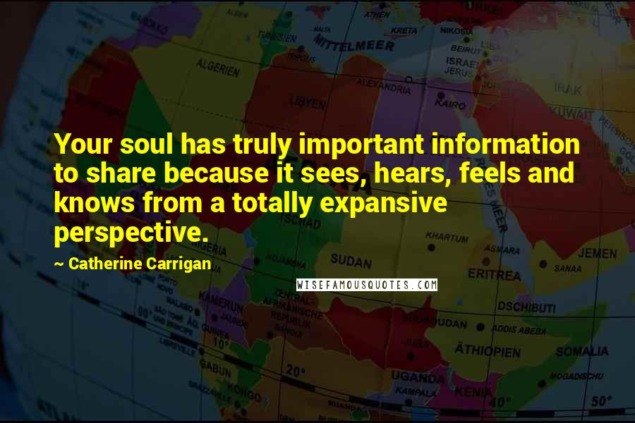 Catherine Carrigan Quotes: Your soul has truly important information to share because it sees, hears, feels and knows from a totally expansive perspective.