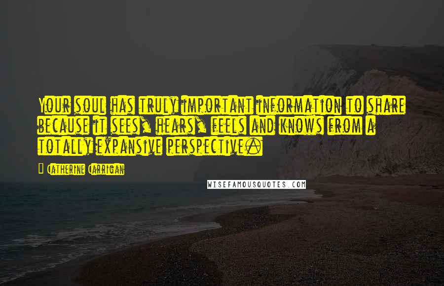 Catherine Carrigan Quotes: Your soul has truly important information to share because it sees, hears, feels and knows from a totally expansive perspective.