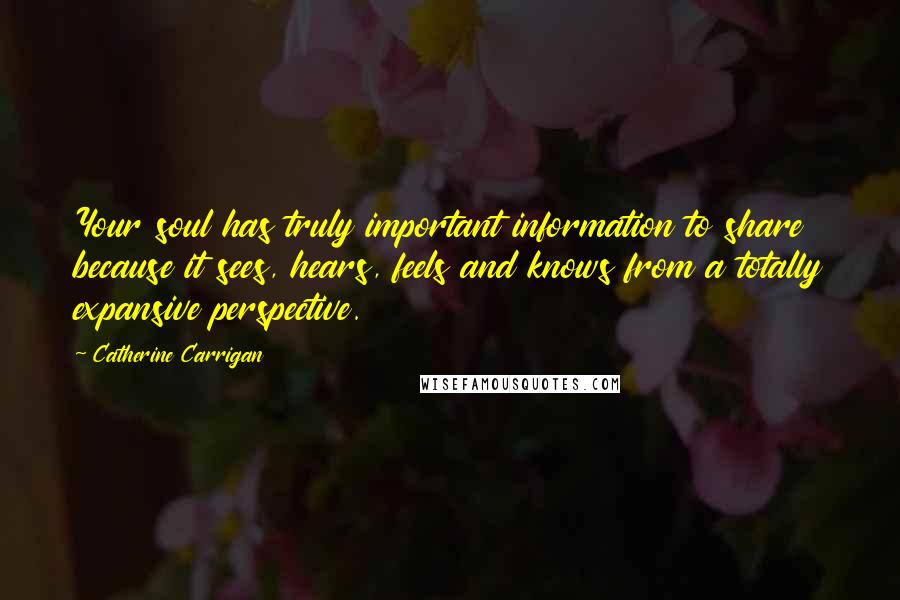 Catherine Carrigan Quotes: Your soul has truly important information to share because it sees, hears, feels and knows from a totally expansive perspective.