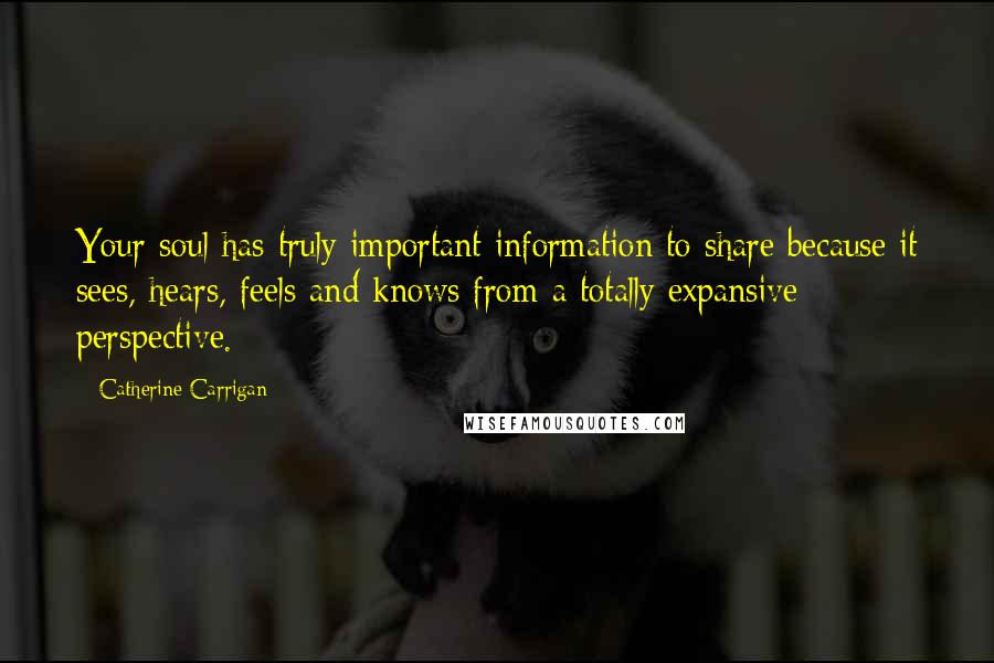 Catherine Carrigan Quotes: Your soul has truly important information to share because it sees, hears, feels and knows from a totally expansive perspective.