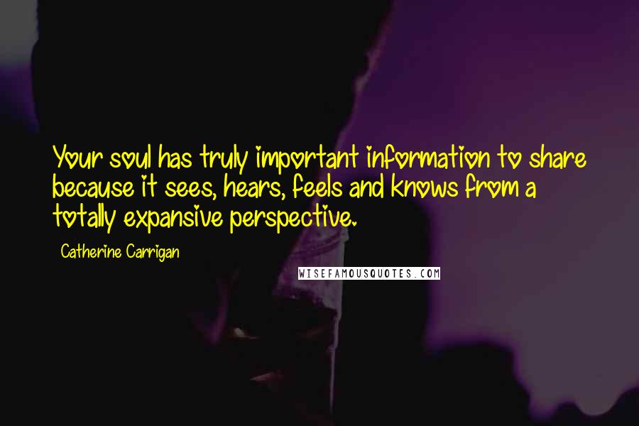 Catherine Carrigan Quotes: Your soul has truly important information to share because it sees, hears, feels and knows from a totally expansive perspective.