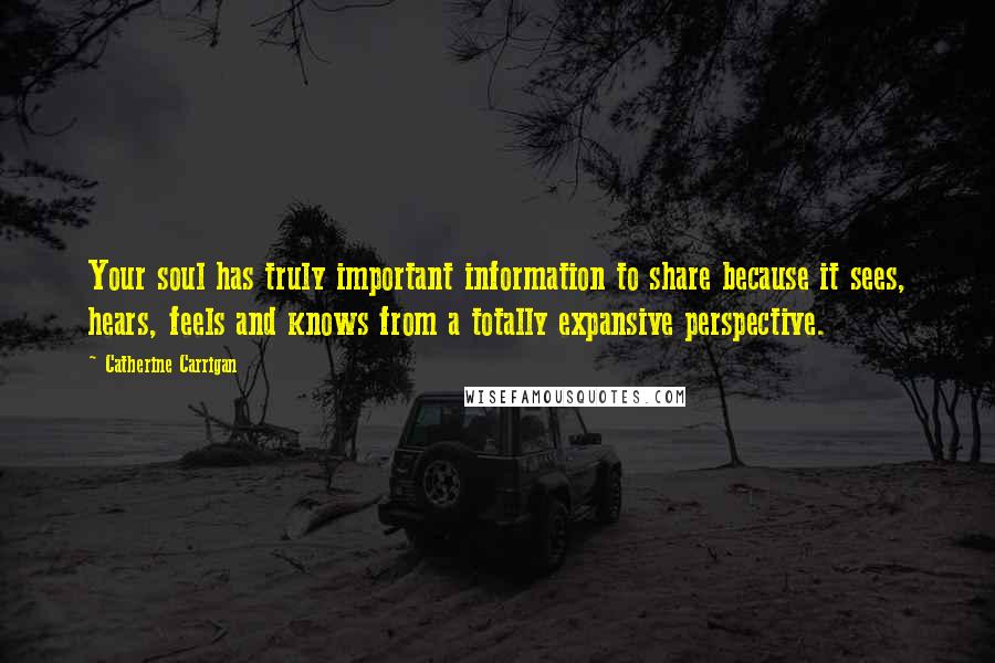 Catherine Carrigan Quotes: Your soul has truly important information to share because it sees, hears, feels and knows from a totally expansive perspective.