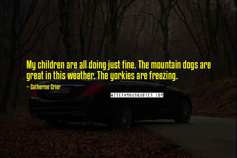 Catherine Crier Quotes: My children are all doing just fine. The mountain dogs are great in this weather. The yorkies are freezing.