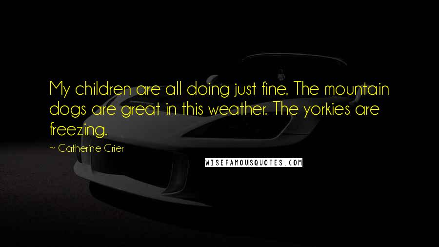 Catherine Crier Quotes: My children are all doing just fine. The mountain dogs are great in this weather. The yorkies are freezing.