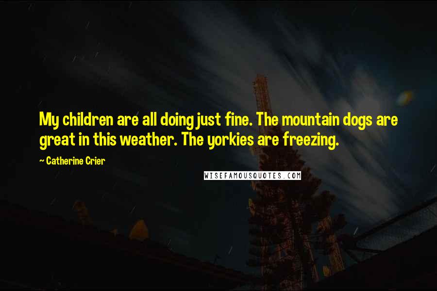 Catherine Crier Quotes: My children are all doing just fine. The mountain dogs are great in this weather. The yorkies are freezing.