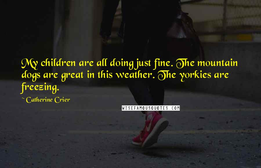 Catherine Crier Quotes: My children are all doing just fine. The mountain dogs are great in this weather. The yorkies are freezing.