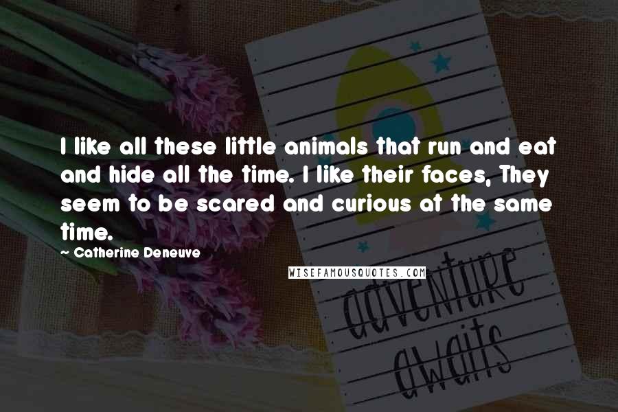 Catherine Deneuve Quotes: I like all these little animals that run and eat and hide all the time. I like their faces, They seem to be scared and curious at the same time.