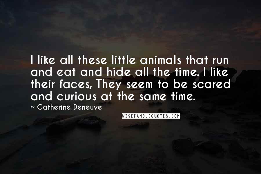 Catherine Deneuve Quotes: I like all these little animals that run and eat and hide all the time. I like their faces, They seem to be scared and curious at the same time.