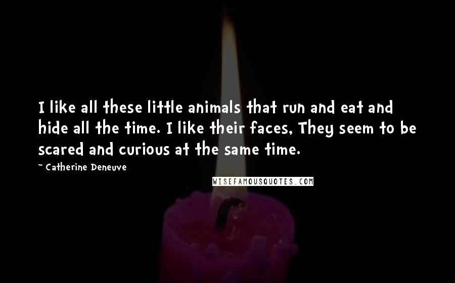 Catherine Deneuve Quotes: I like all these little animals that run and eat and hide all the time. I like their faces, They seem to be scared and curious at the same time.