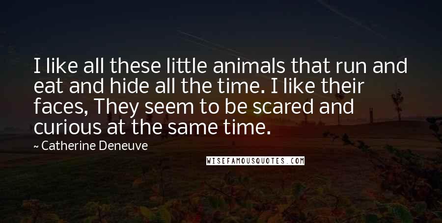 Catherine Deneuve Quotes: I like all these little animals that run and eat and hide all the time. I like their faces, They seem to be scared and curious at the same time.