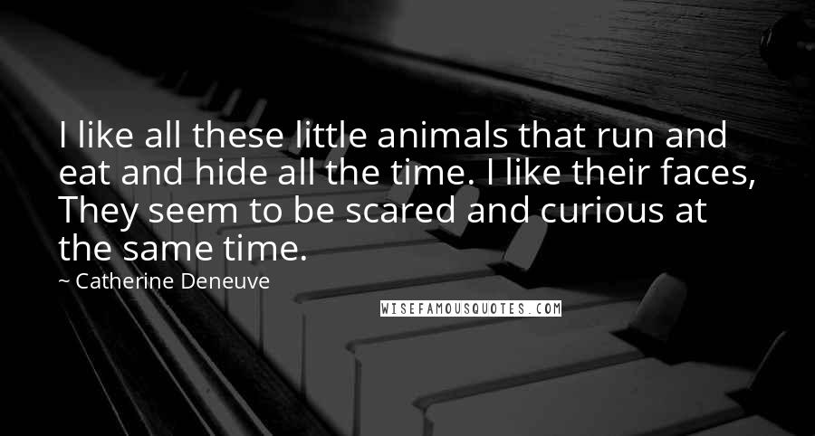 Catherine Deneuve Quotes: I like all these little animals that run and eat and hide all the time. I like their faces, They seem to be scared and curious at the same time.
