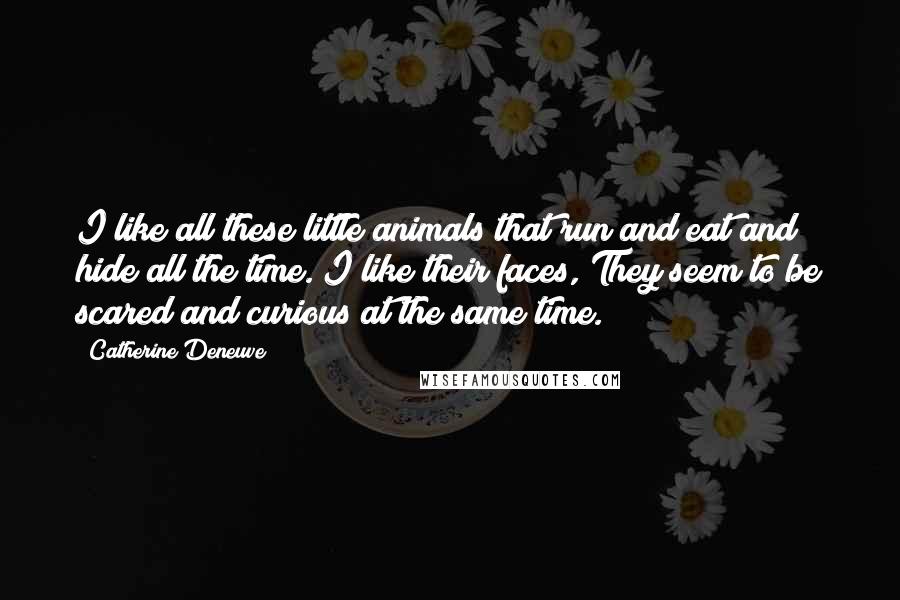 Catherine Deneuve Quotes: I like all these little animals that run and eat and hide all the time. I like their faces, They seem to be scared and curious at the same time.