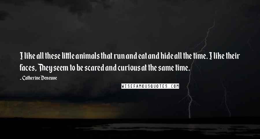 Catherine Deneuve Quotes: I like all these little animals that run and eat and hide all the time. I like their faces, They seem to be scared and curious at the same time.