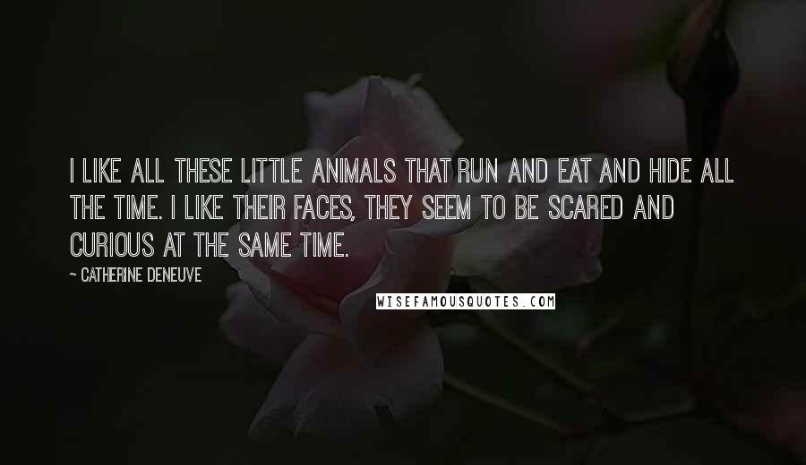 Catherine Deneuve Quotes: I like all these little animals that run and eat and hide all the time. I like their faces, They seem to be scared and curious at the same time.