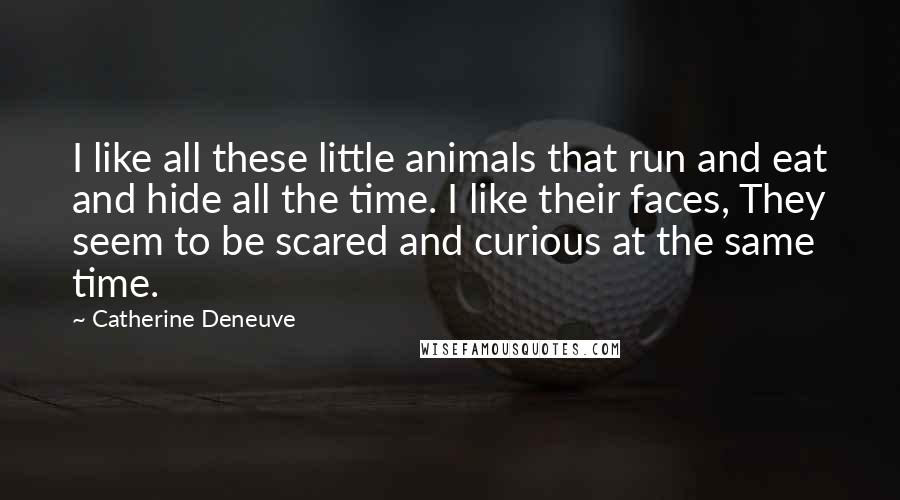 Catherine Deneuve Quotes: I like all these little animals that run and eat and hide all the time. I like their faces, They seem to be scared and curious at the same time.