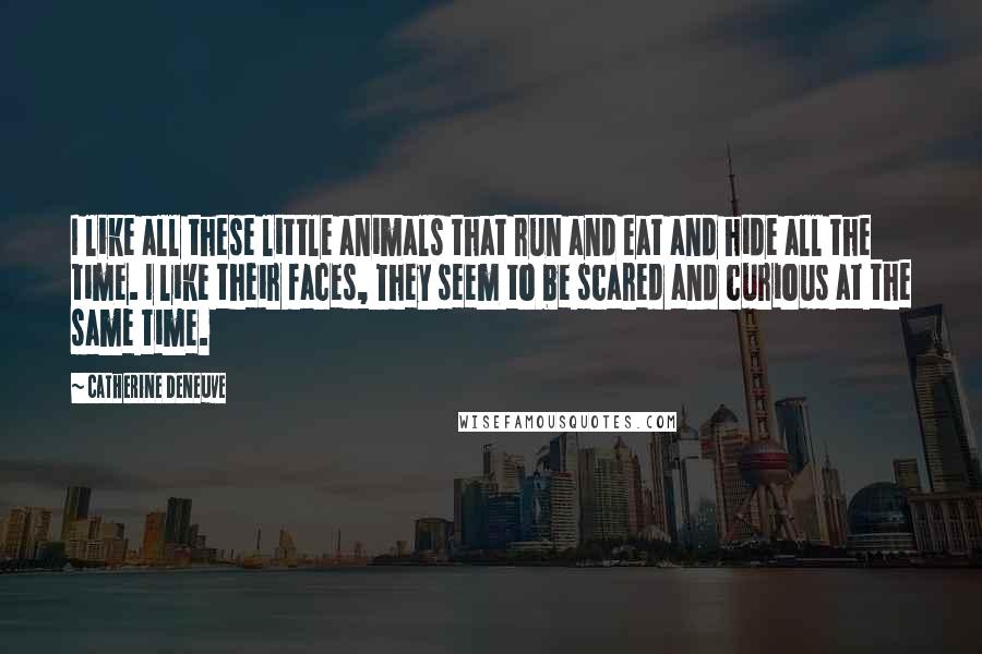 Catherine Deneuve Quotes: I like all these little animals that run and eat and hide all the time. I like their faces, They seem to be scared and curious at the same time.