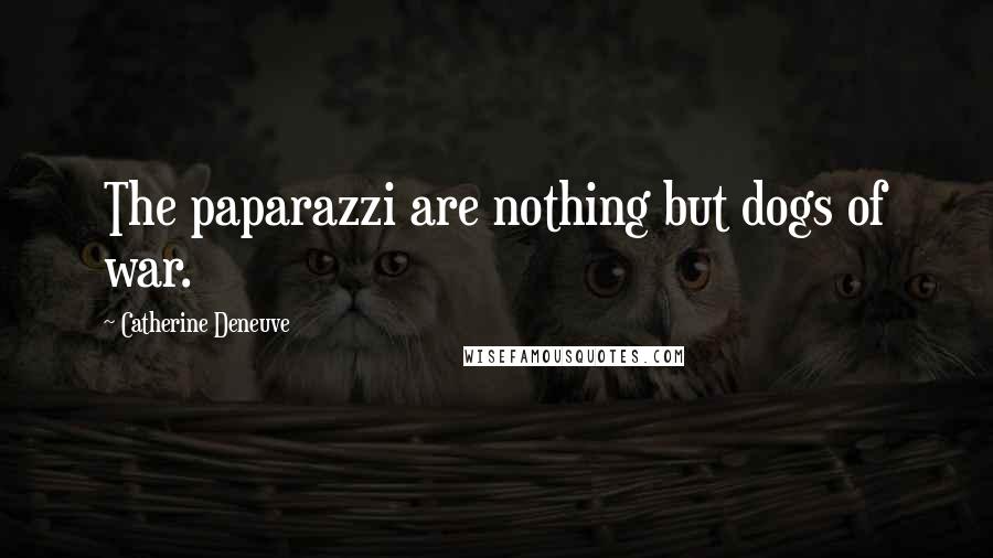 Catherine Deneuve Quotes: The paparazzi are nothing but dogs of war.