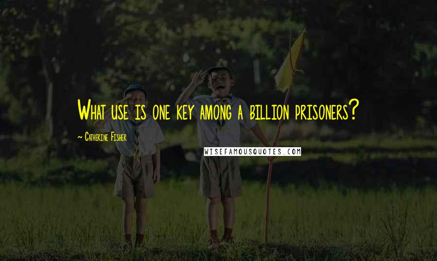 Catherine Fisher Quotes: What use is one key among a billion prisoners?