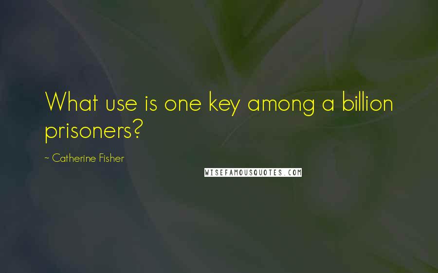 Catherine Fisher Quotes: What use is one key among a billion prisoners?
