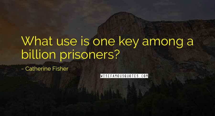 Catherine Fisher Quotes: What use is one key among a billion prisoners?