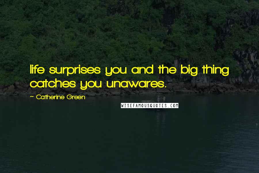 Catherine Green Quotes: life surprises you and the big thing catches you unawares.