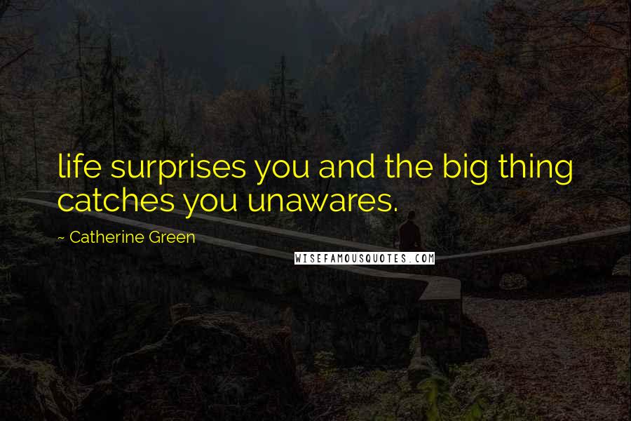 Catherine Green Quotes: life surprises you and the big thing catches you unawares.
